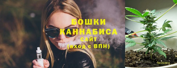 мдпв Бородино