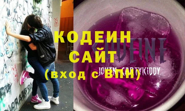 мдпв Бородино