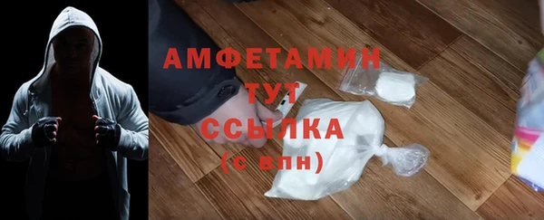 мдпв Бородино