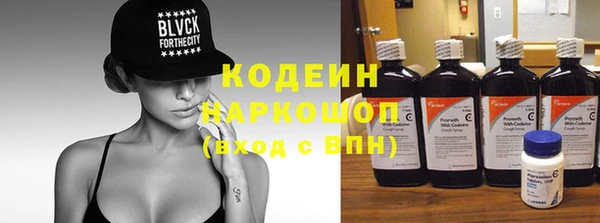 мдпв Бородино