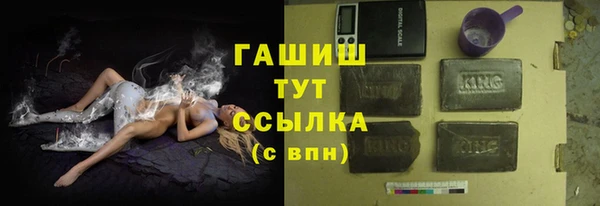 мдпв Бородино
