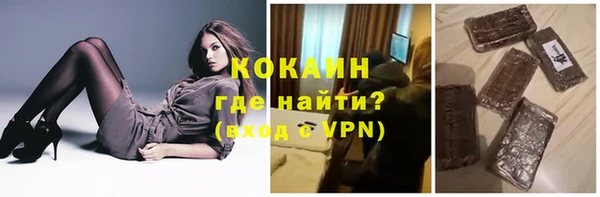 мдпв Бородино