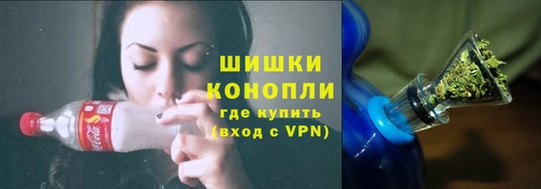 мдпв Бородино