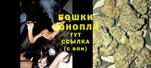мдпв Бородино