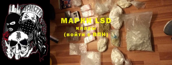 мдпв Бородино