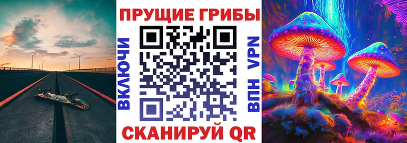 Галлюциногенные грибы Psilocybine cubensis  Купить закладки  Бабаево 