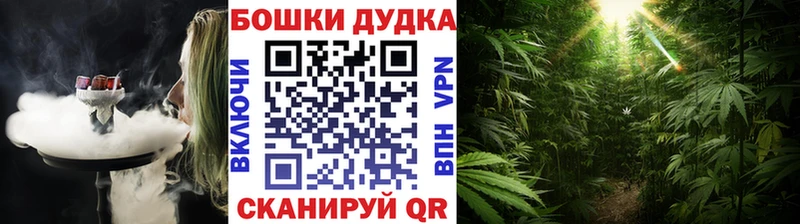 Конопля THC 21%  Купить закладки  Бабаево 